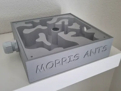 Ant Farm (Ant Nest) , Antfarm
