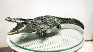 Accesorio para filamento: Realistic Nile Crocodile — vista de referencia 3