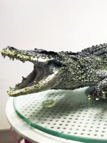 Accesorio para filamento: Realistic Nile Crocodile — vista de referencia 2