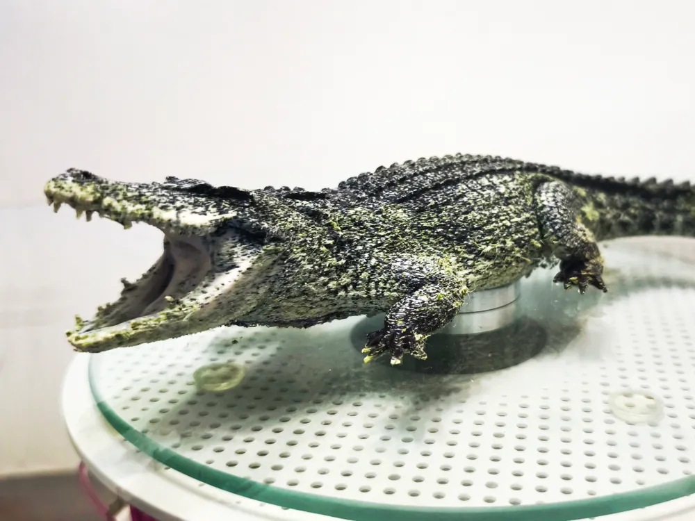 Accesorio para filamento: Realistic Nile Crocodile. Referencia del modelo original.