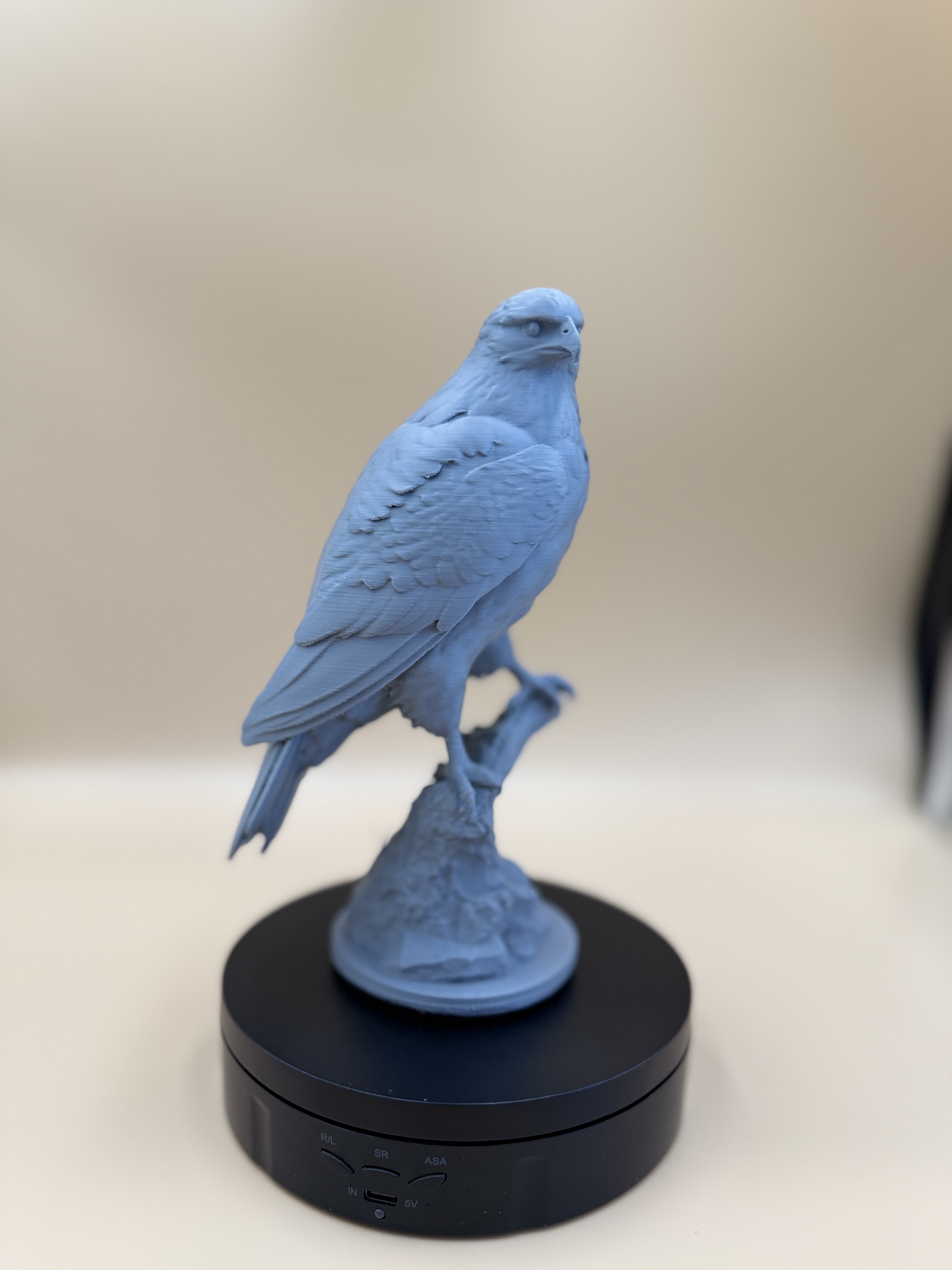 Miniatura 2 do modelo 3D The Perchmaster Hawk