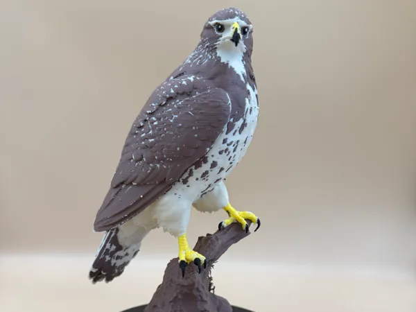 https://makerworld.bblmw.com/makerworld/model/US7ed0769f03d1e6/design/7d44ddb7cf09b3db.jpg