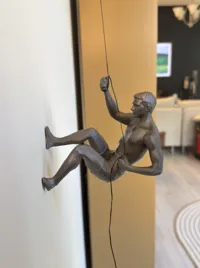 Mirrored Climbing Man (More Variety) 