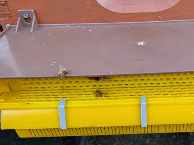Pollen Trap Basket Clip