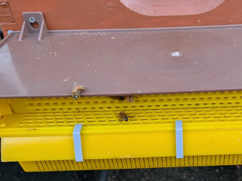 Pollen Trap Basket Clip