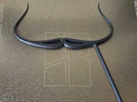 Moustache Salvador Dali — photo 2