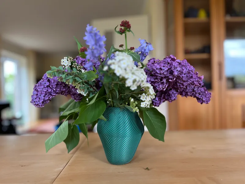 modern curved vase