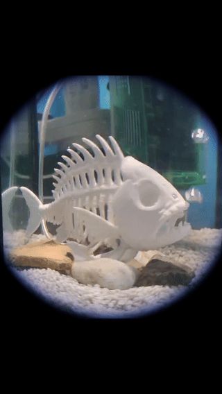 https://makerworld.bblmw.com/makerworld/model/US7ee469e20c667b/design/2025-11-25_5b3146133e79.gif