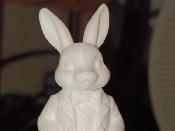 https://makerworld.bblmw.com/makerworld/model/US7ef071eeeb145/design/2026-01-13_8d0f52e4f86b4.jpg