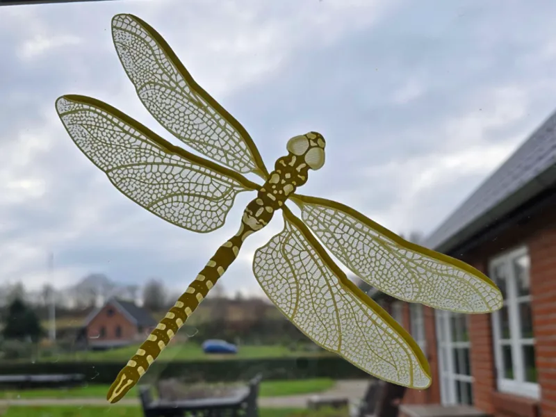 Dragonfly window ornament