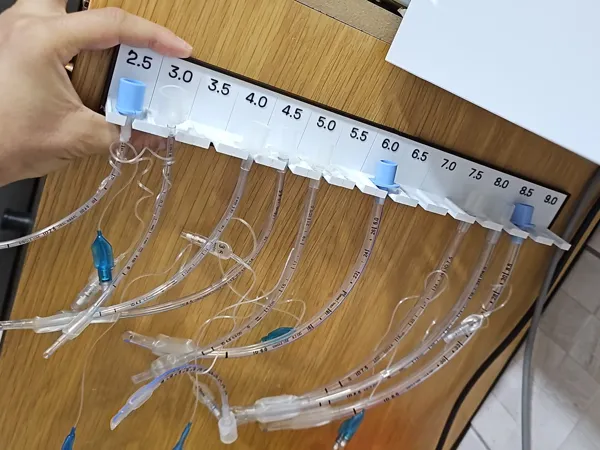 https://makerworld.bblmw.com/makerworld/model/US7ef90c4e09a15c/design/e78410a66d3fd696.jpeg
