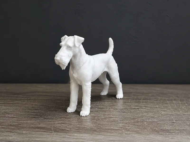Airedale Terrier - Dog - Animal 