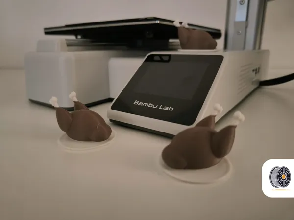 https://makerworld.bblmw.com/makerworld/model/US7efedd543d5b3d/design/2024-11-19_503b9dacb10a5.png