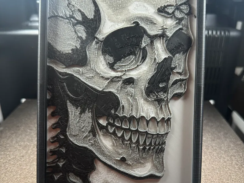 Skull  (HueForge)