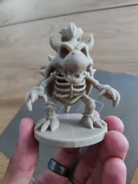 Dry Bowser - squelette — photo 3