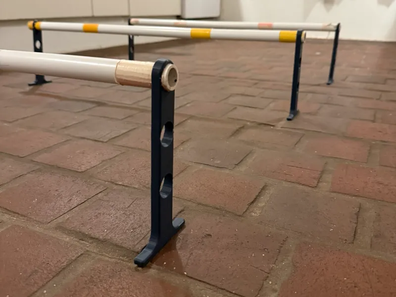 Cavaletti/Jump Stand–Dog Training & Rehabilitation