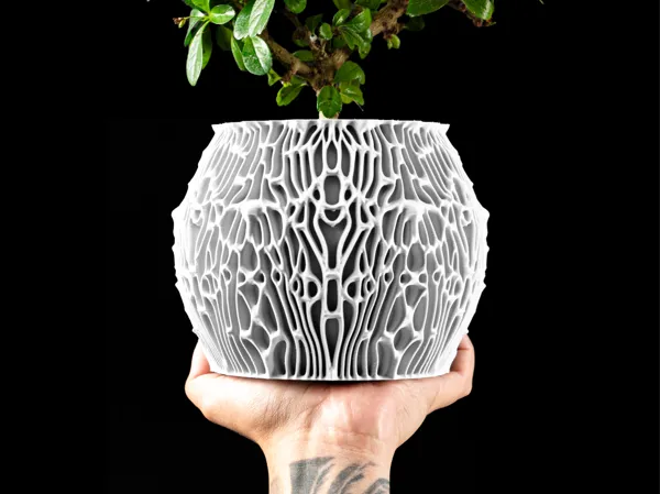 https://makerworld.bblmw.com/makerworld/model/US7f07e0bd7d483f/design/c7cf91b971d4a101.jpg