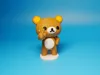 The victorious little bear