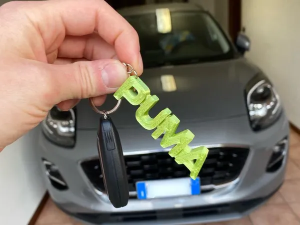 https://makerworld.bblmw.com/makerworld/model/US7f0ba1bc59b576/design/2024-06-15_98a6df070fee8.jpg