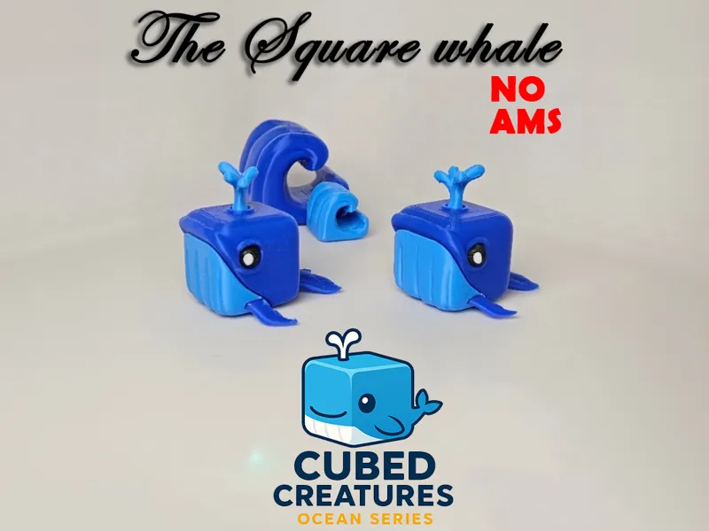The Square Whale