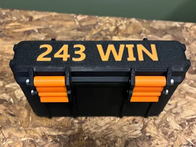 243 Winchester Tip Down 20rnd Ammo Box