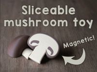 10x3mm magnets