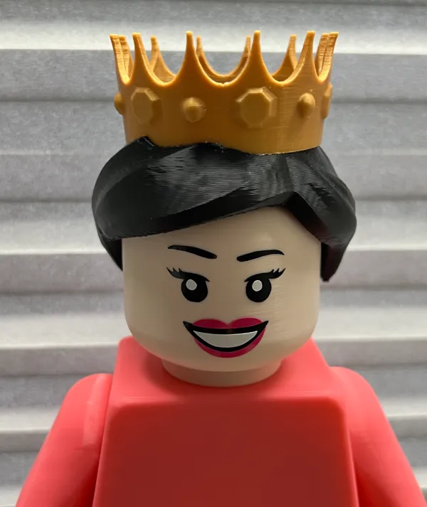 https://makerworld.bblmw.com/makerworld/model/US7f10f30bad9805/design/2024-12-15_6a86ca928d63f.jpg