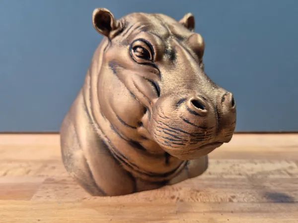https://makerworld.bblmw.com/makerworld/model/US7f172721c131d1/design/2025-06-04_50e27a262d3198.jpg