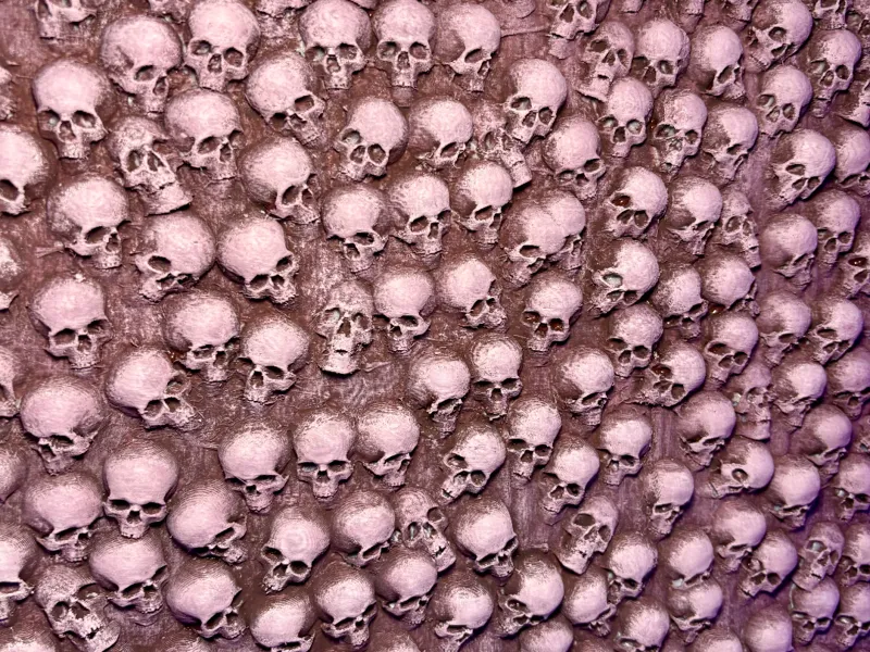Skull Wall Diorama Background Backdrop Detolf size