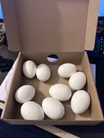 Easter Egg 0.16mm layer, 2 walls, 15% infill