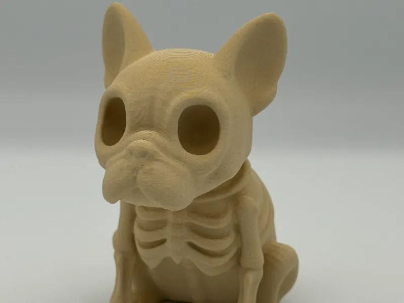 Bone frenchie