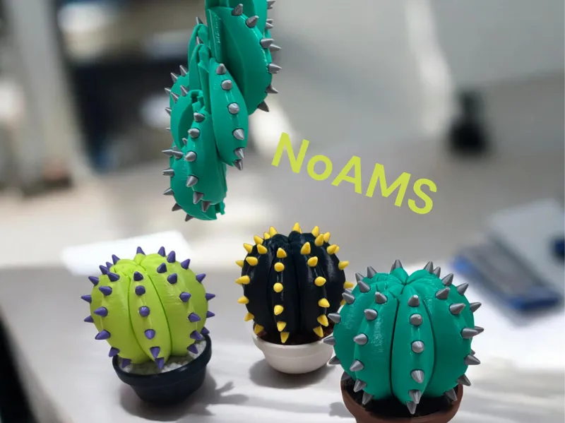 Patient Cactus : Sensory Stress-Relief Companion