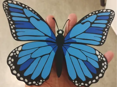 Nice butterfly (double sided)