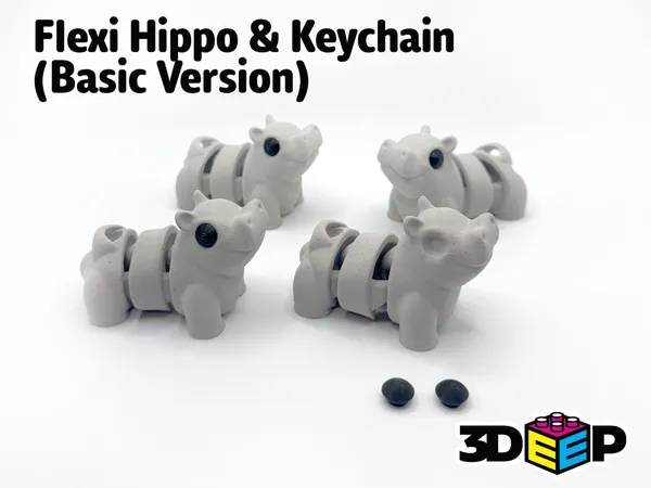 https://makerworld.bblmw.com/makerworld/model/US7f21cc44840391/design/2025-01-12_bc389f8302a43.png