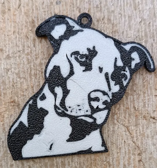 https://makerworld.bblmw.com/makerworld/model/US7f34136ae60cb2/design/2024-06-20_150b0cb1ddd2f8.jpg
