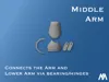 Middle arm