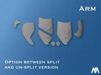 Arm