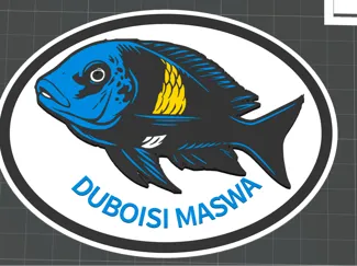 Tropheus Duboisi Maswa