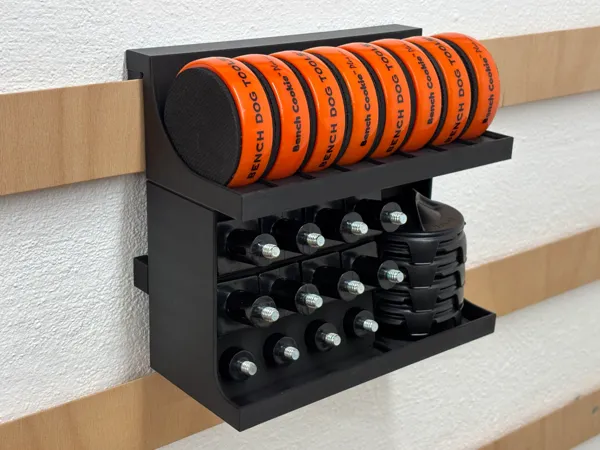 https://makerworld.bblmw.com/makerworld/model/US7f4800f3abb3d/design/2025-01-27_d710162ec18e88.jpeg