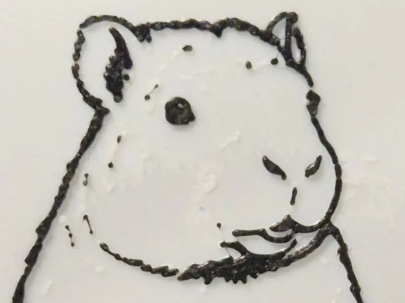 Capybara with HueForge