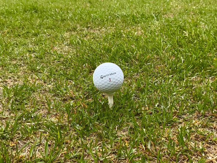 Short Golf Tee