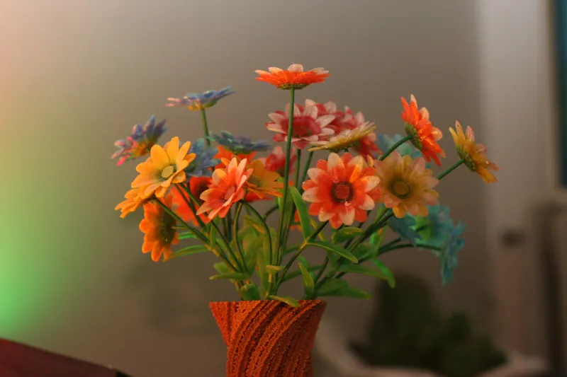 FilaFlower - A Flower With Filament Stalk