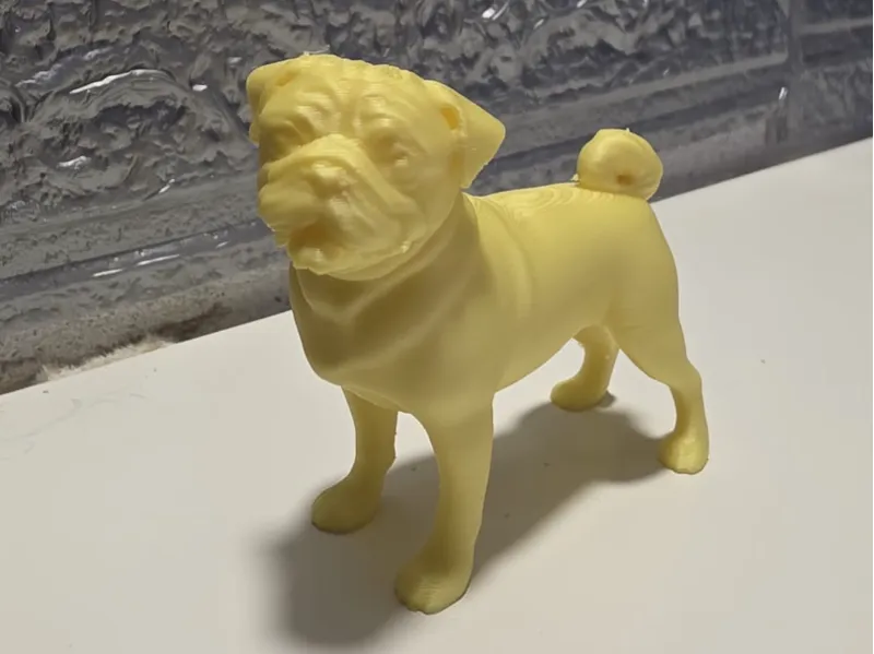 Miniatura carlino