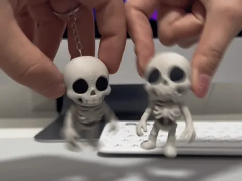 Flexi Skeleton view 2