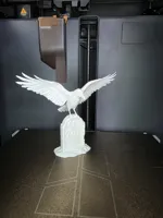 0.16mm layer, 2 walls, 10% infill