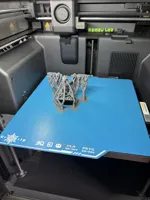 0.08mm layer, 2 walls, 8% infill