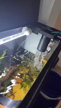 0.2mm layer, 3 walls, 15% infill