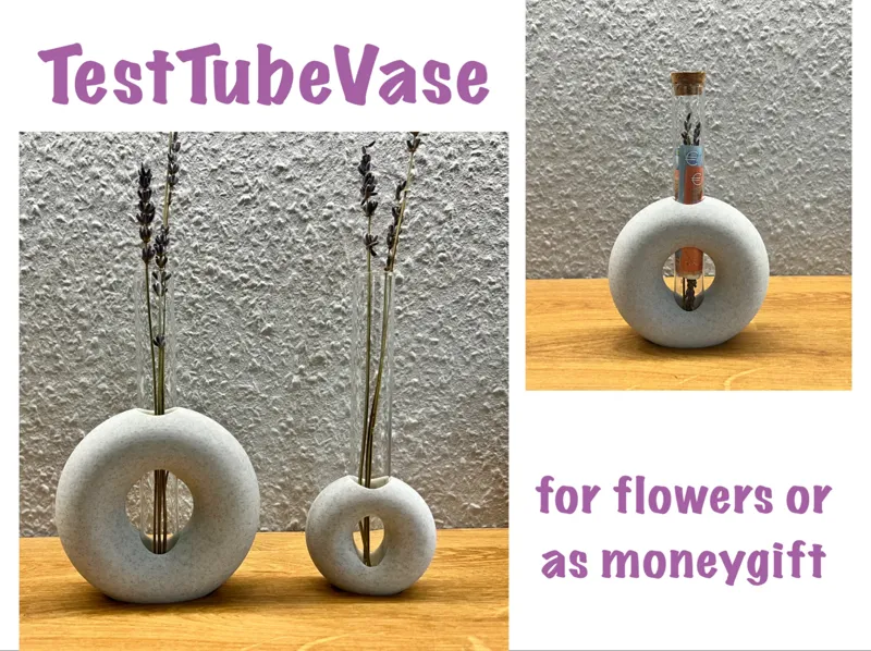 TestTubeVases - Donut