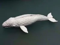 Baleine grise style voronoï — photo 3