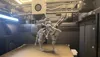 High Noon Rell - 0.2mm layer, 3 walls, 17% infill